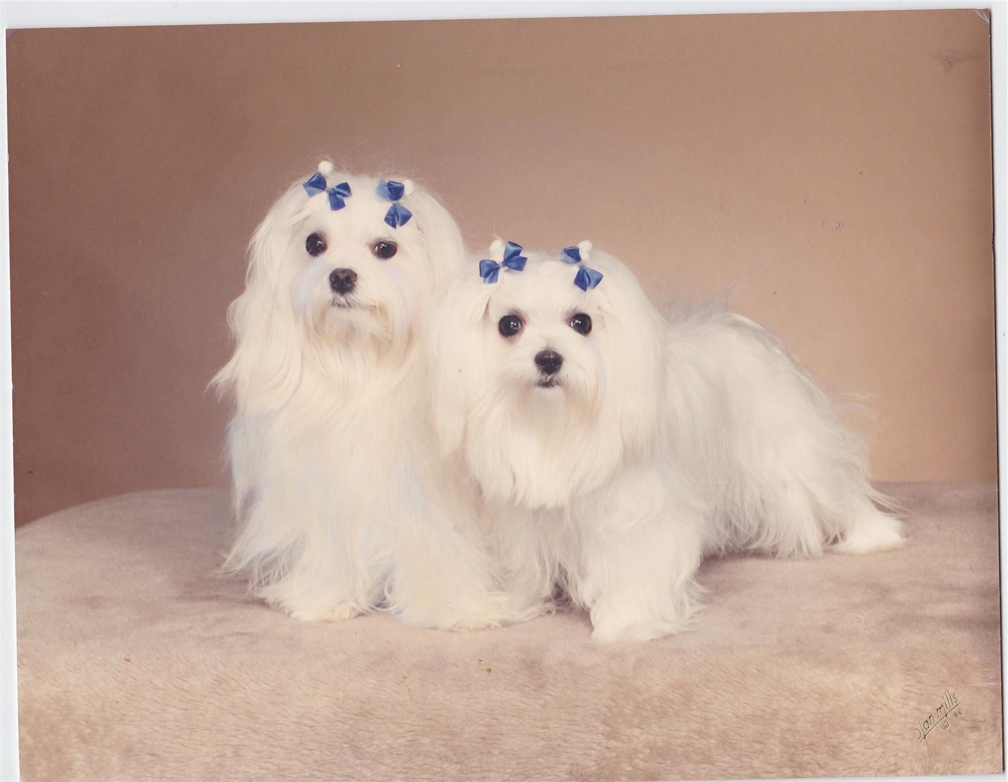 BERKLEY SOUTH - Residential