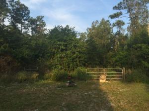 Well priced 5 acre parcel of vacant land.