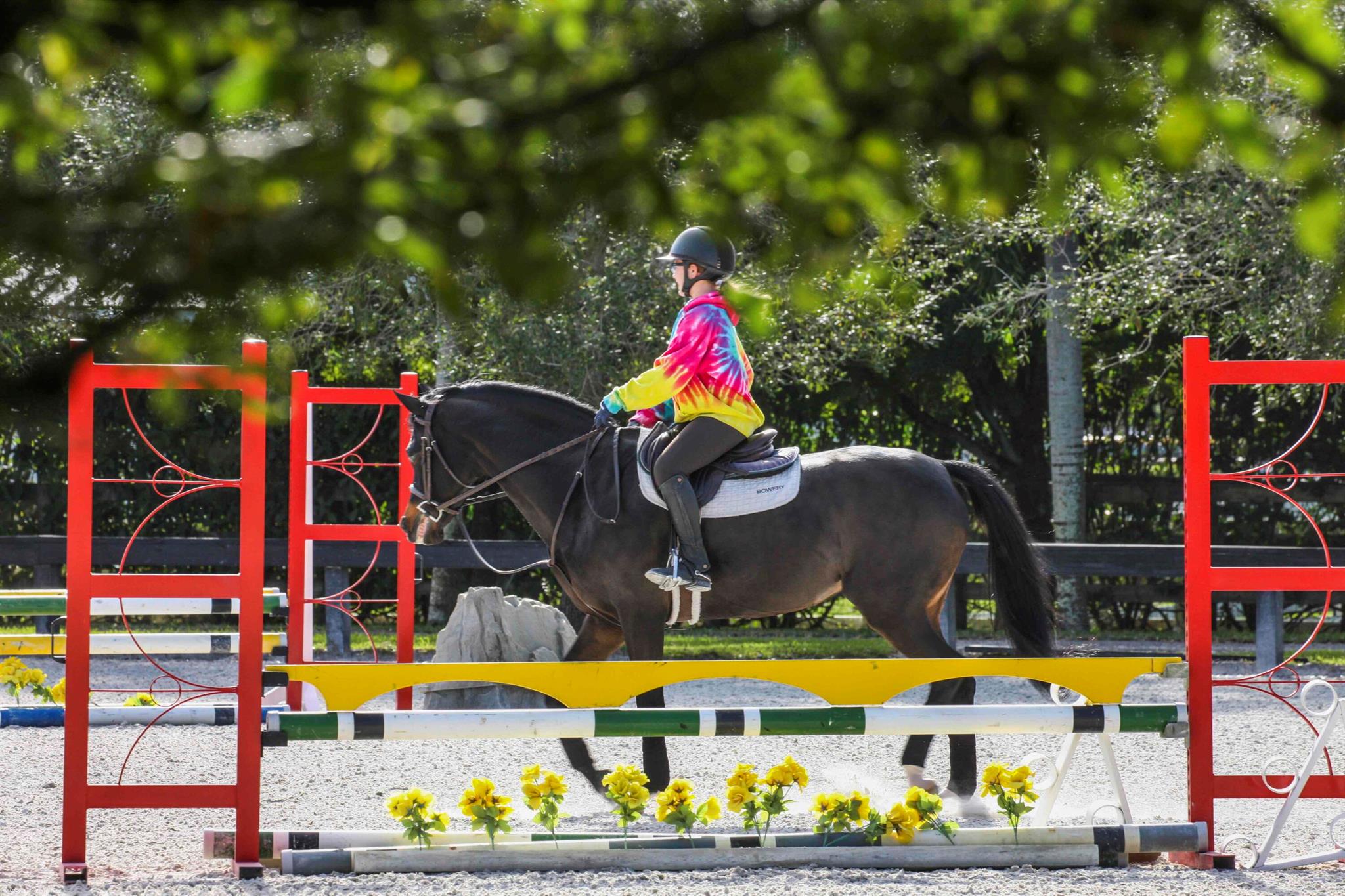 SADDLE TRAIL PARK OF WELL - Residential