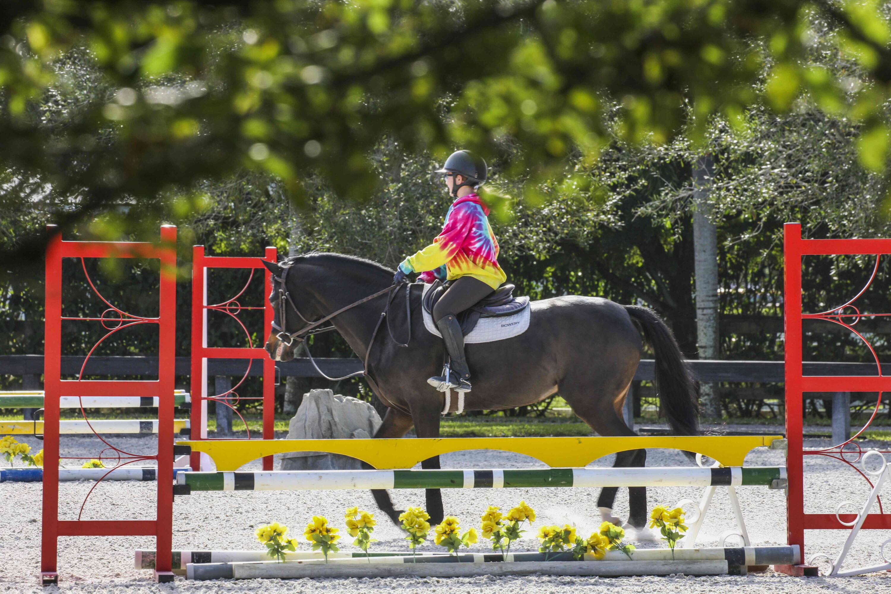 SADDLE TRAIL PARK OF WELLINGTON - Residential