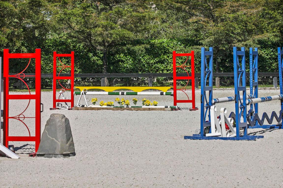 SADDLE TRAIL PARK OF WELLINGTON - Residential