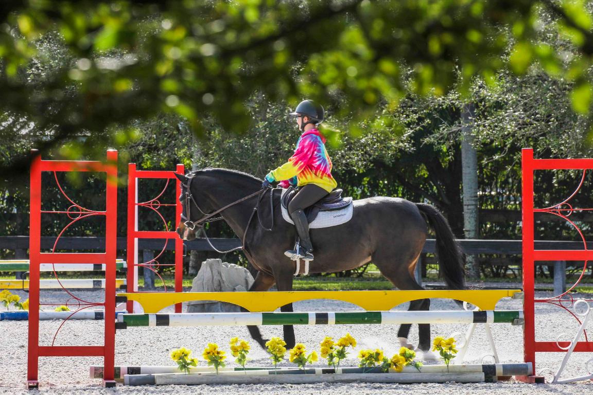 SADDLE TRAIL PARK OF WELLINGTON - Residential