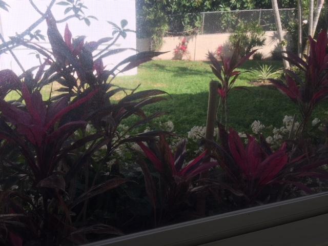 MURRY HILLS APT BLDG CONDO - Residential