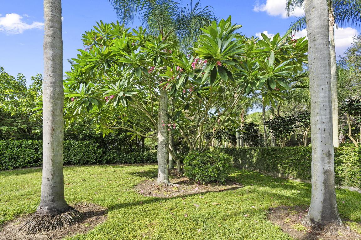 SEWALLS LANDING - Residential