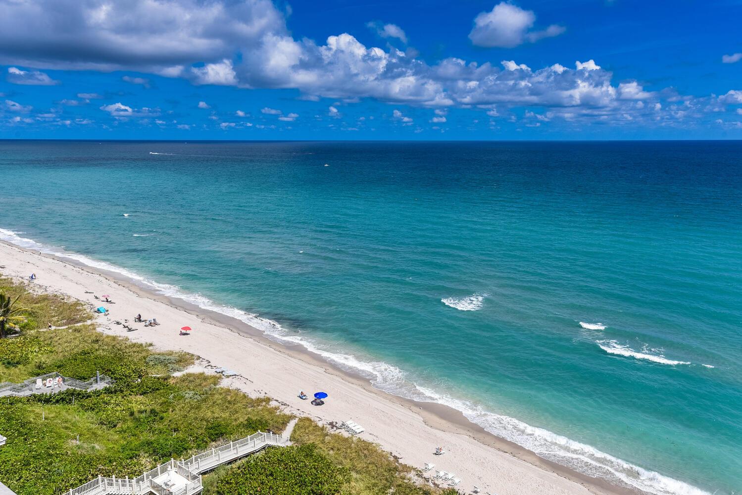 PALMETTO PLACE CONDO - Residential