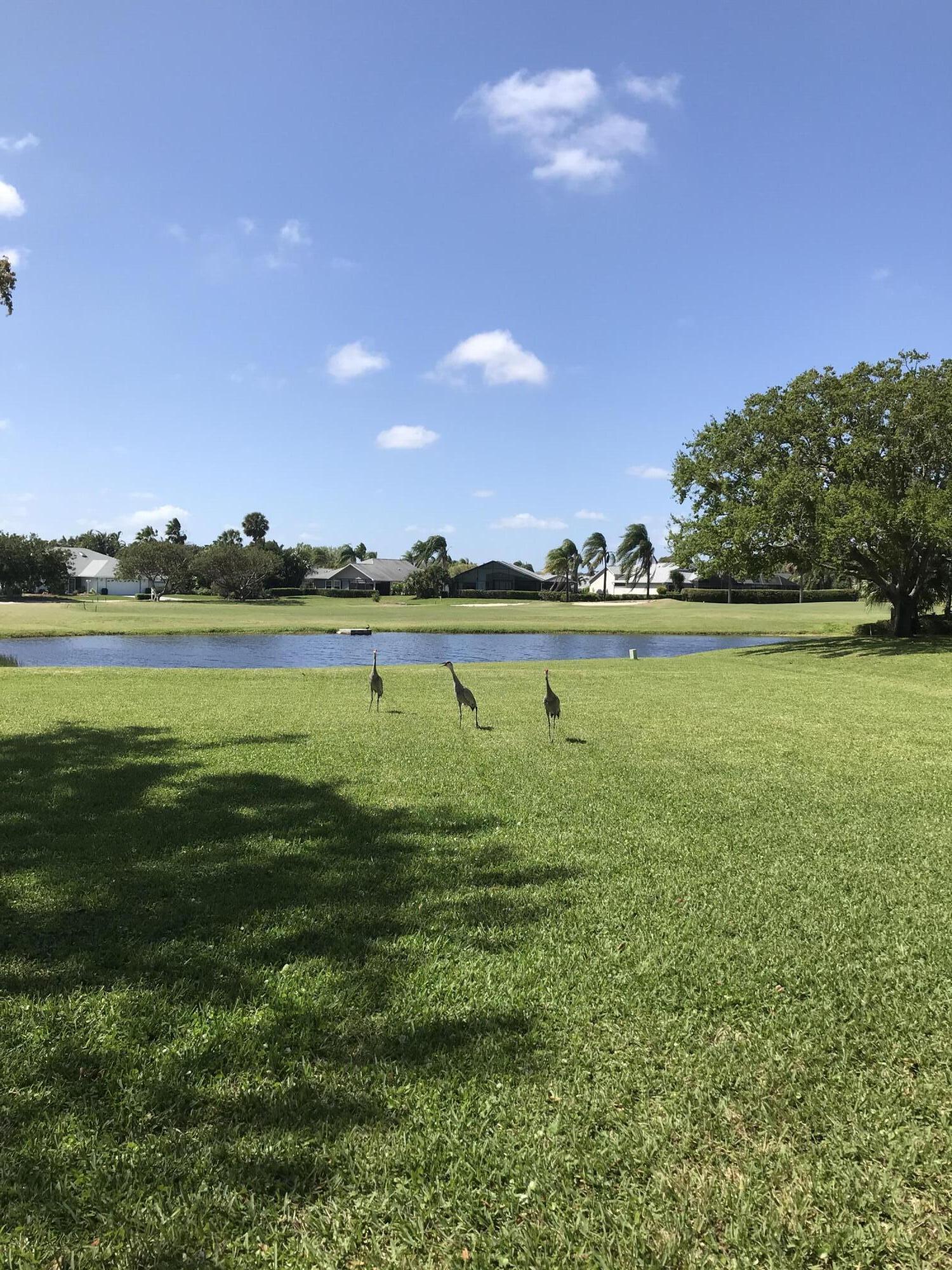 WILLIAMSBURG AT HERITAGE RIDGE CONDO - Residential