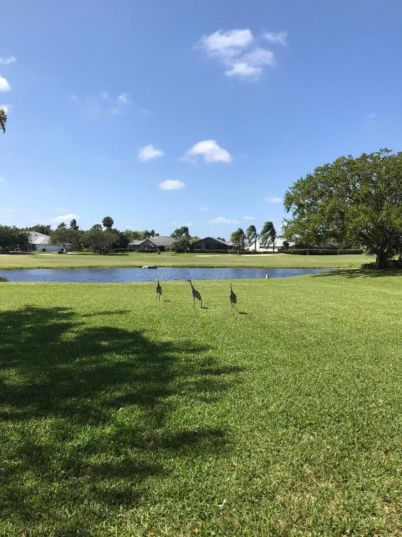 WILLIAMSBURG AT HERITAGE RIDGE CONDO - Residential