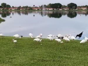 Kings Point - Residential Lease