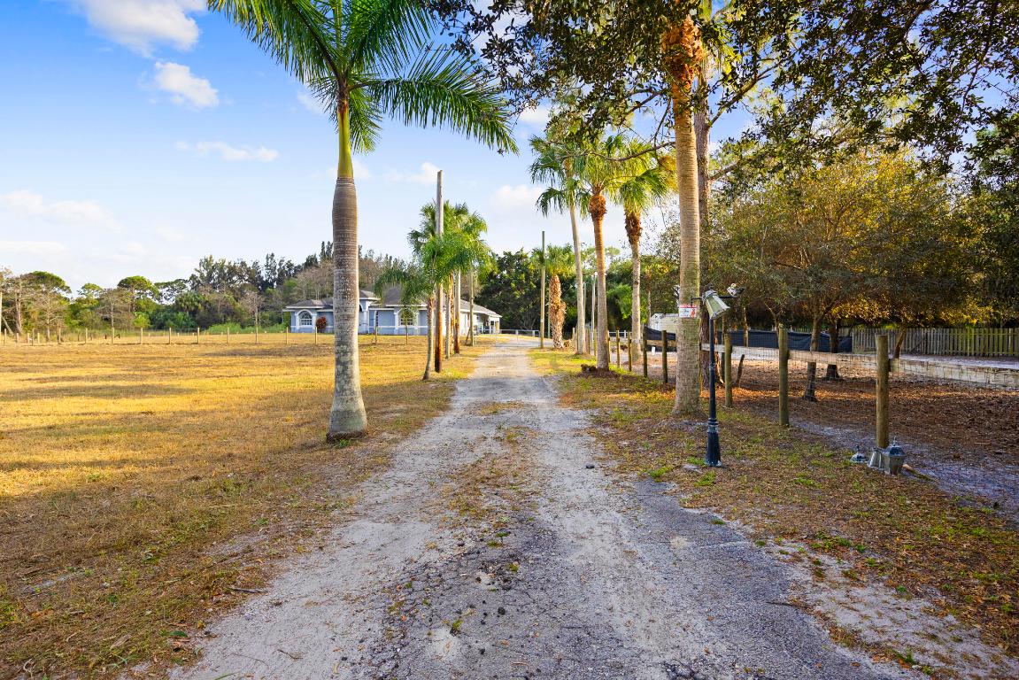 Sunny Urban Meadows - Residential