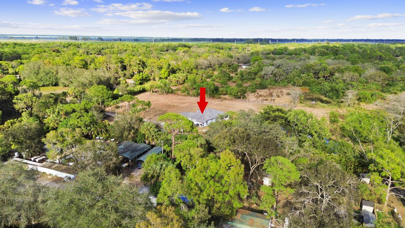 Sunny Urban Meadows - Residential