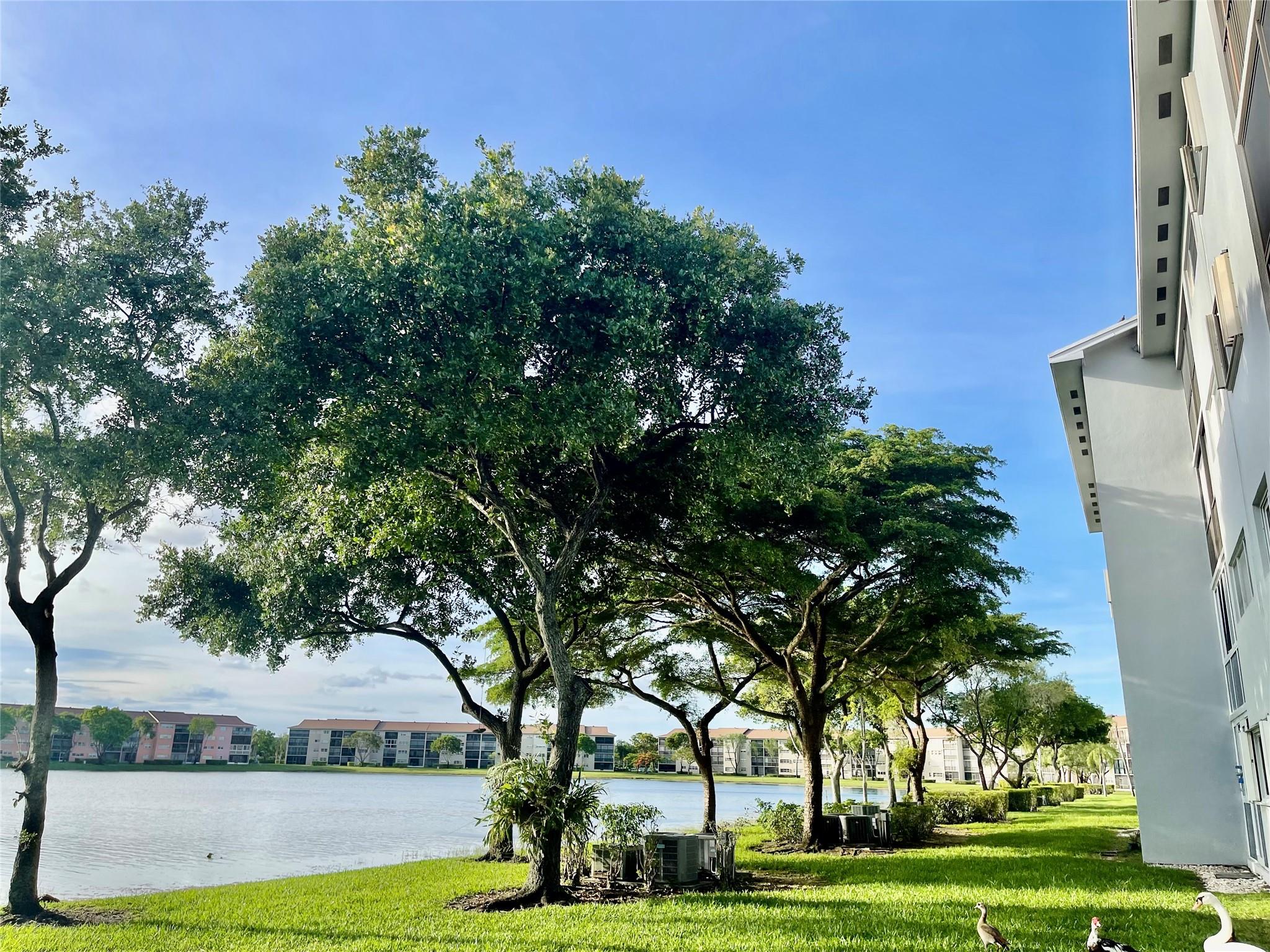 Century Village - Residential