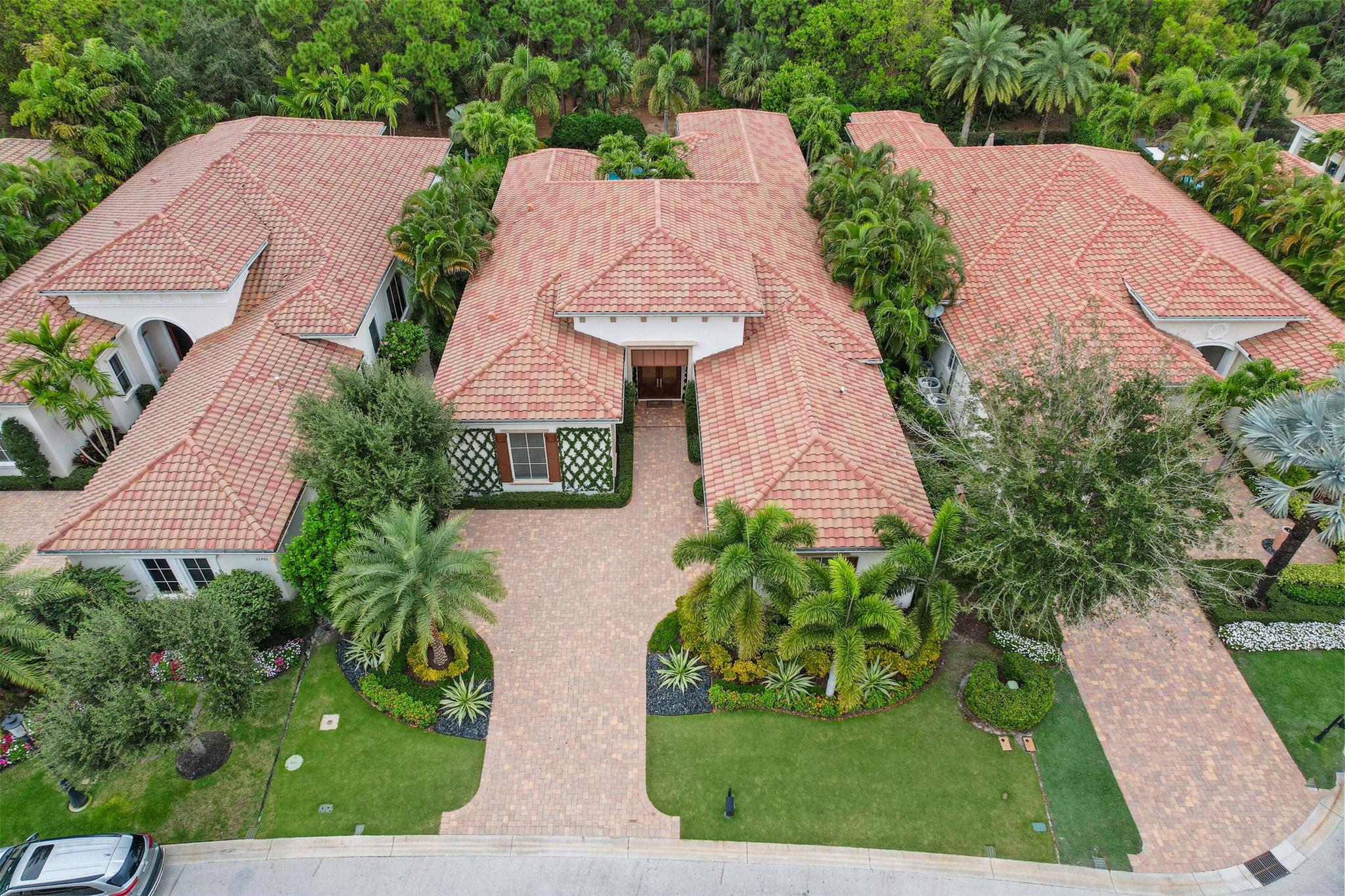 OLD PALM 2 - Residential