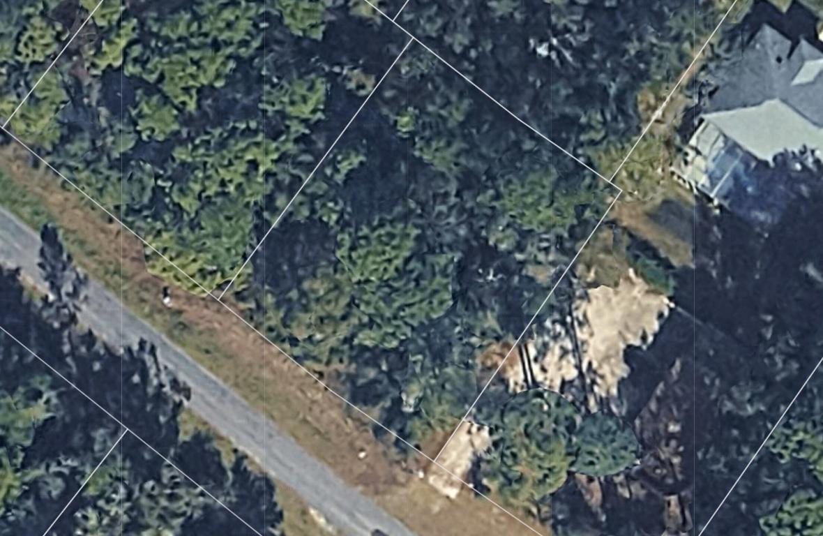 CITRUS SPRINGS UNIT 04 - Land