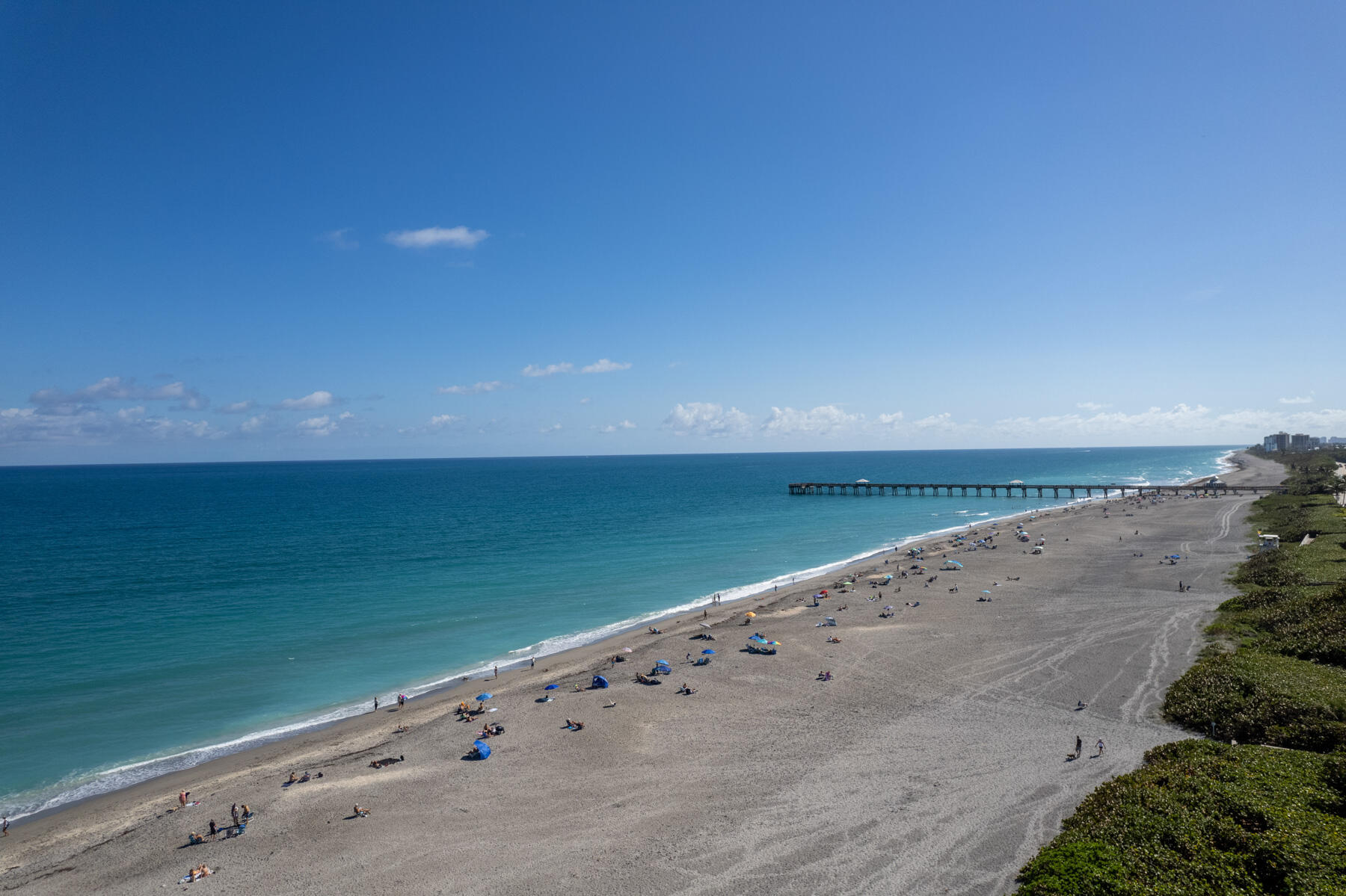 Ocean at the Bluffs South - Residential Lease