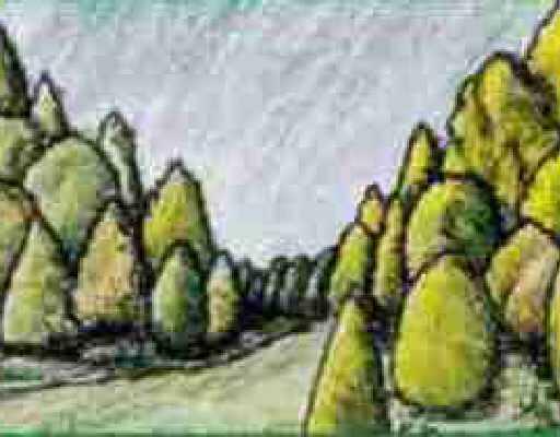 Port St. Lucie - Land