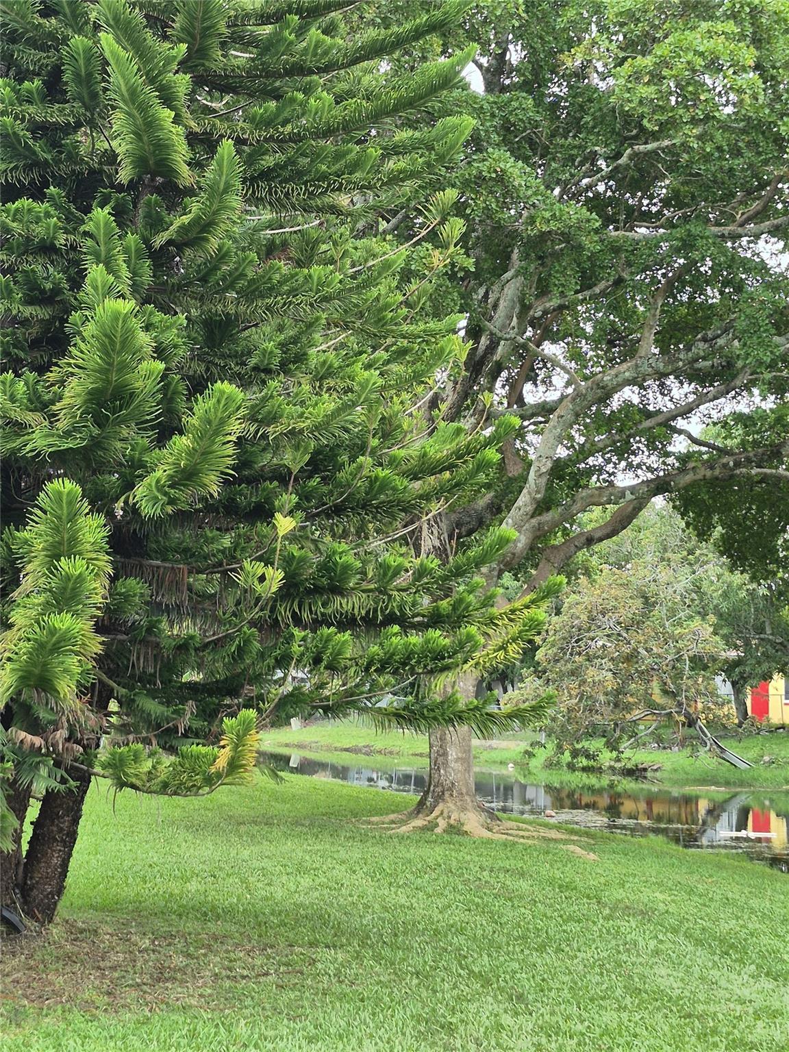 SAPPHIRE CONDO - Residential