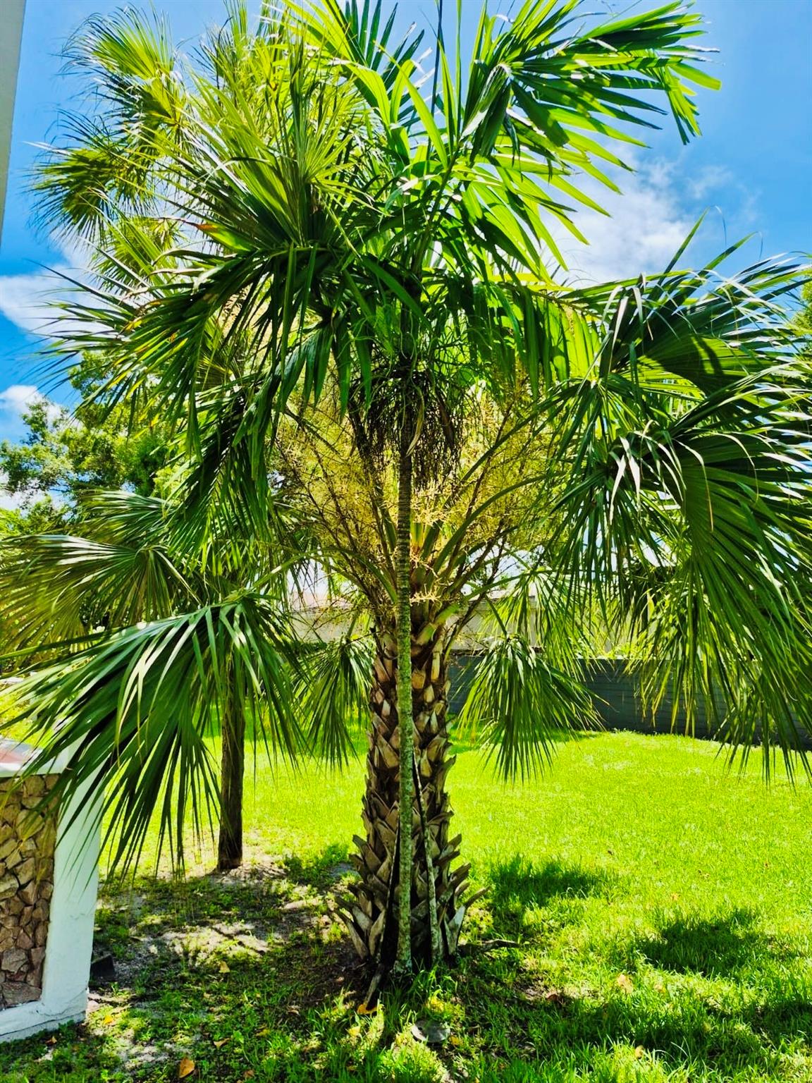 SAPPHIRE CONDO - Residential