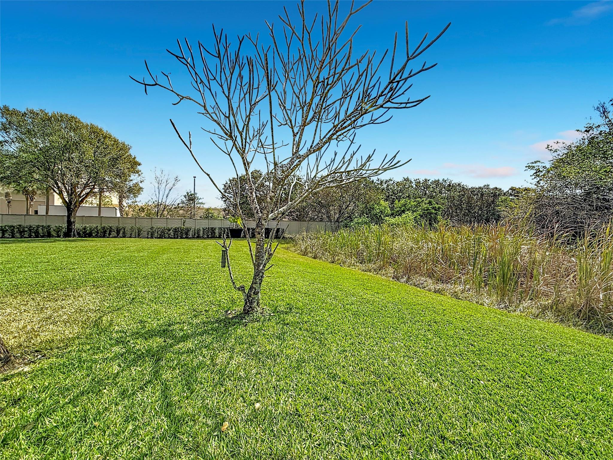 Victoria Isles - Residential