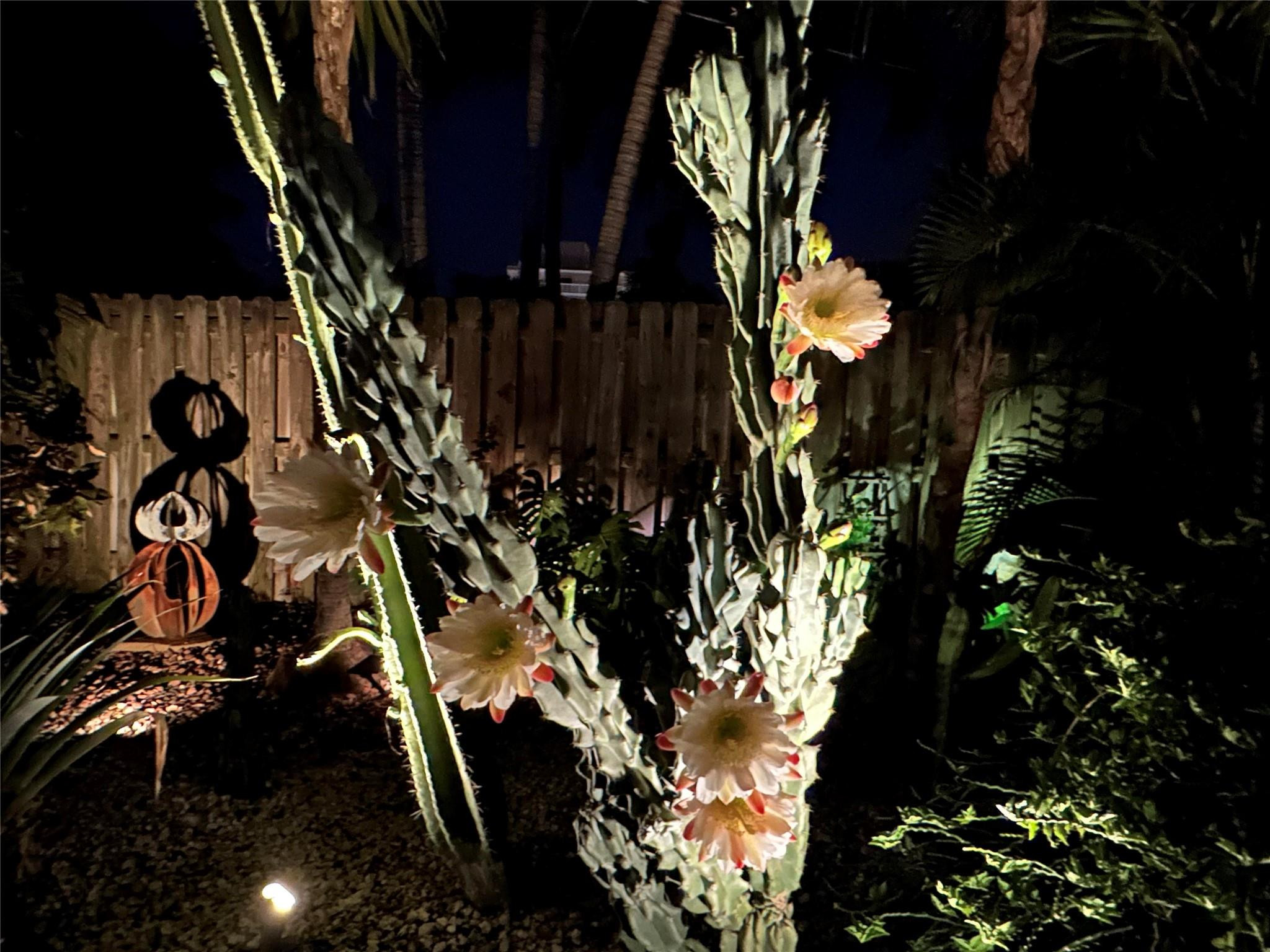 Oakland Park 2nd Add-Resu - Residential