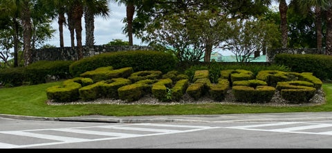 Tiny photo for 3160 HOLIDAY SPRINGS Boulevard #7-311, Margate, FL 33063 (MLS # B26060824)