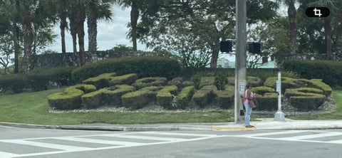 Tiny photo for 3160 HOLIDAY SPRINGS Boulevard #7-311, Margate, FL 33063 (MLS # B26060824)