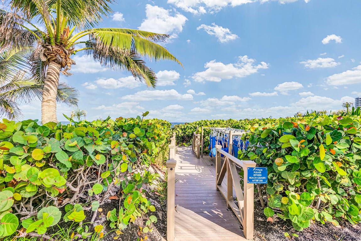 CHALFONTE CONDO - Residential