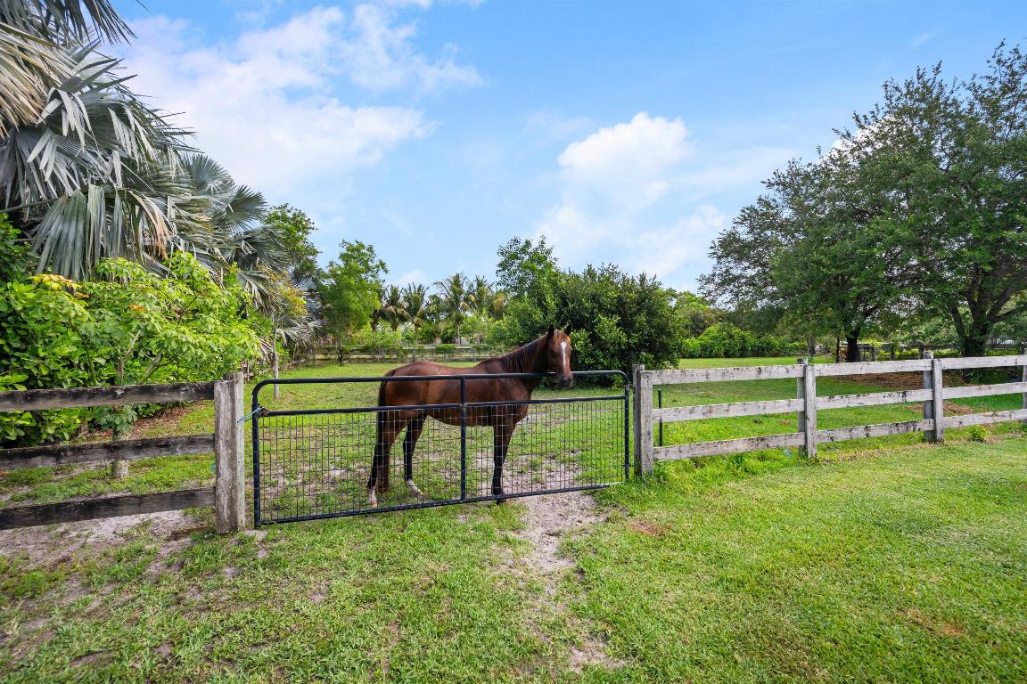 DEER RUN - Residential