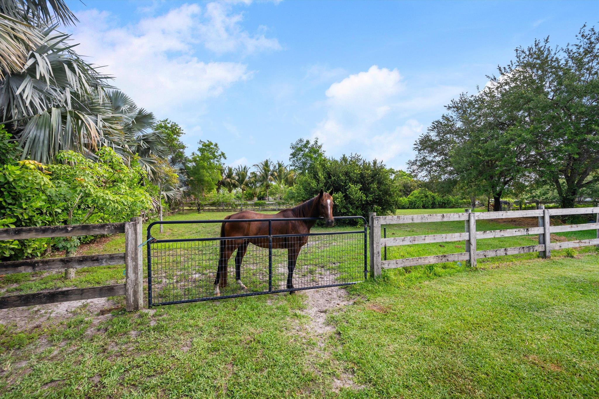 DEER RUN - Residential