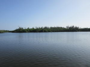 HORSESHOE POINT SHORES - Residential