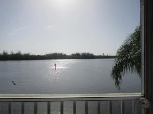 HORSESHOE POINT SHORES - Residential