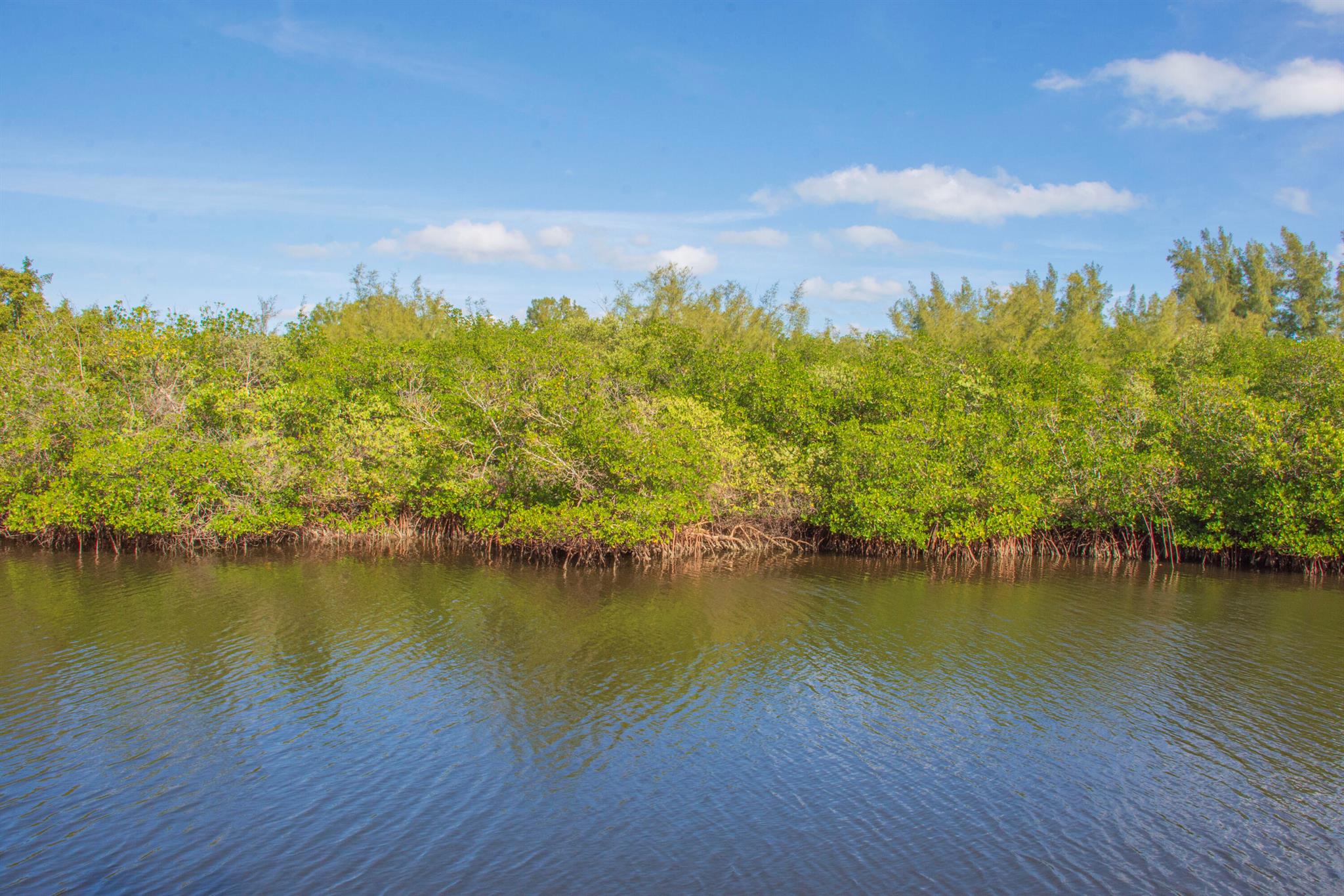 COASTAL COVES UNIT 1 - Residential Lease