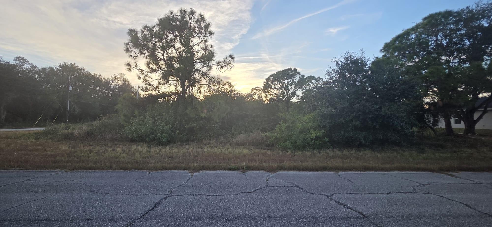 Banyan Village - Land