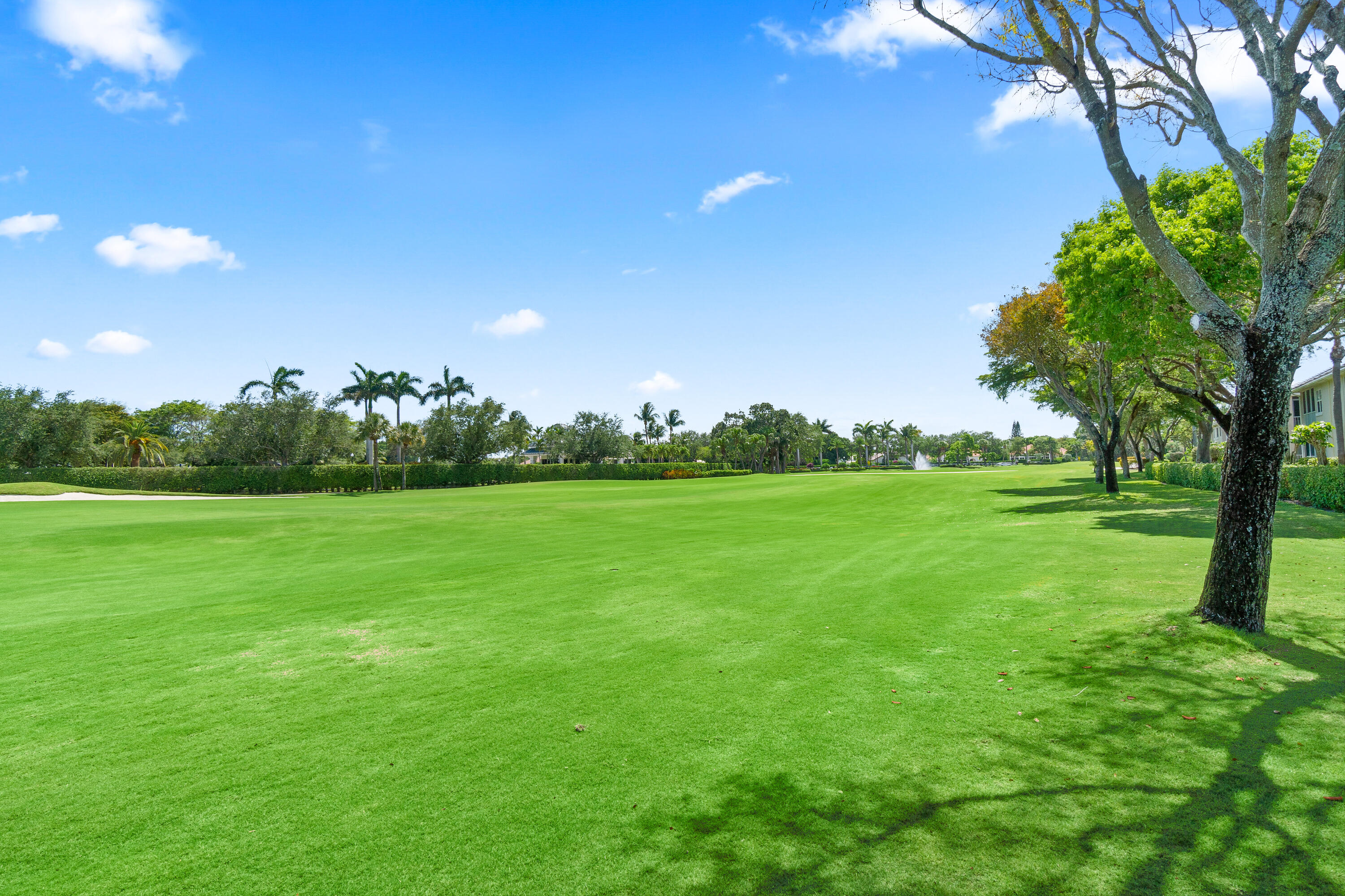 CATALINA / POLO CLUB - Residential