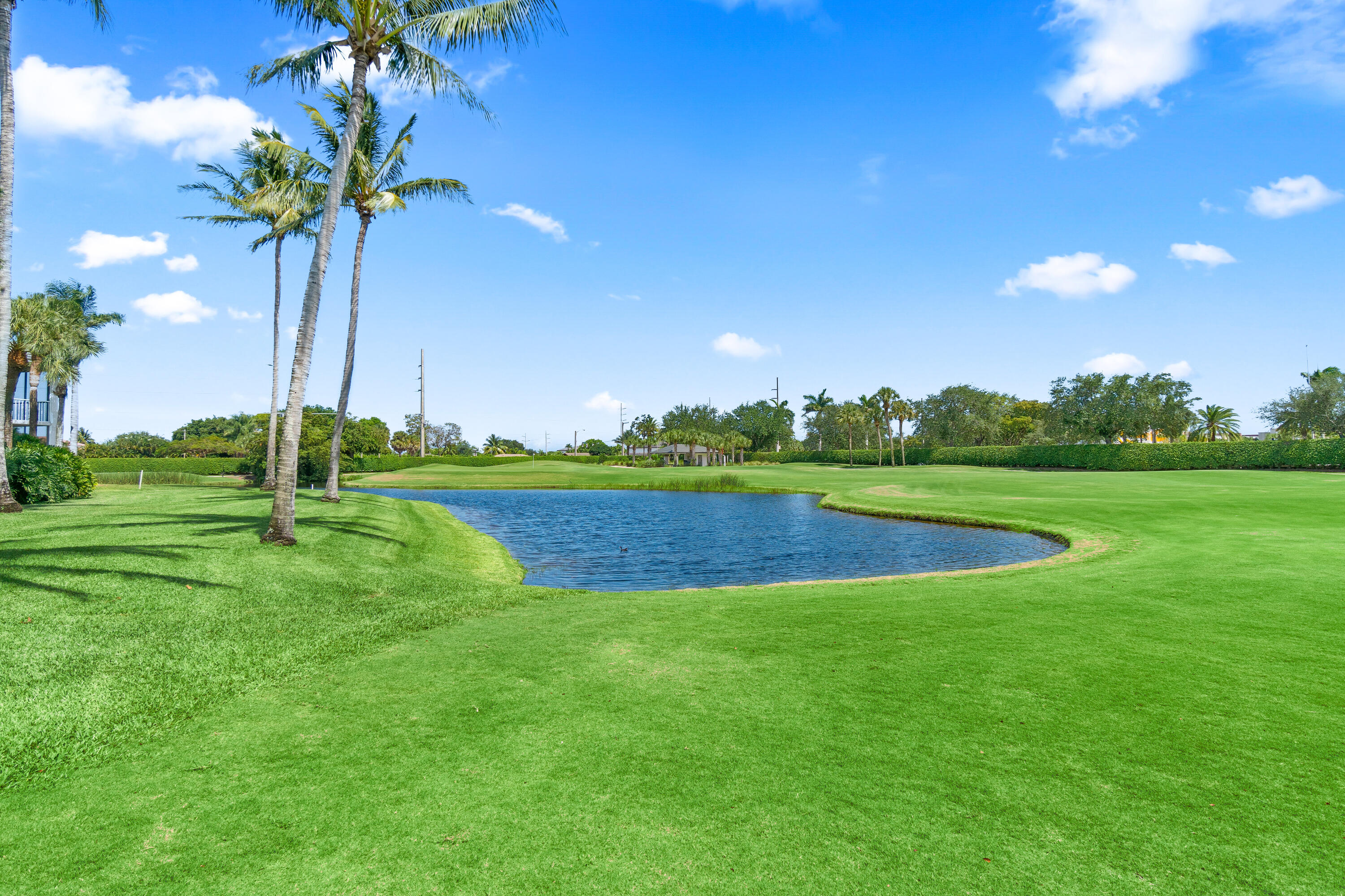 CATALINA / POLO CLUB - Residential