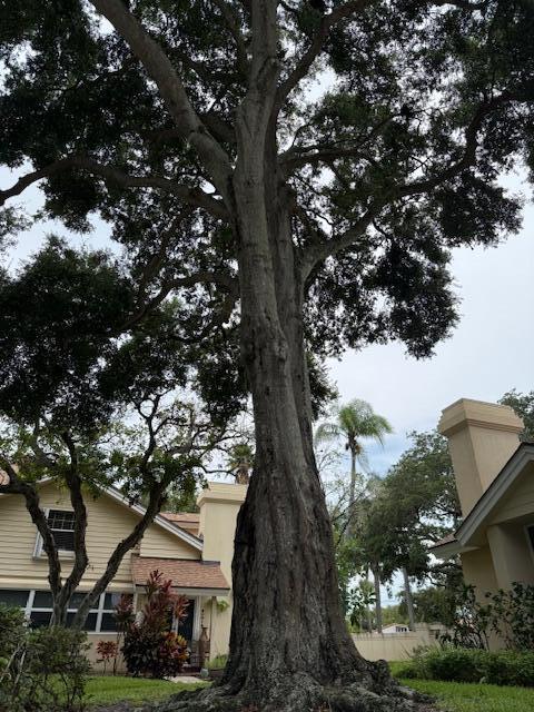 WELLESLEY AT LAKE CLARKE - Residential