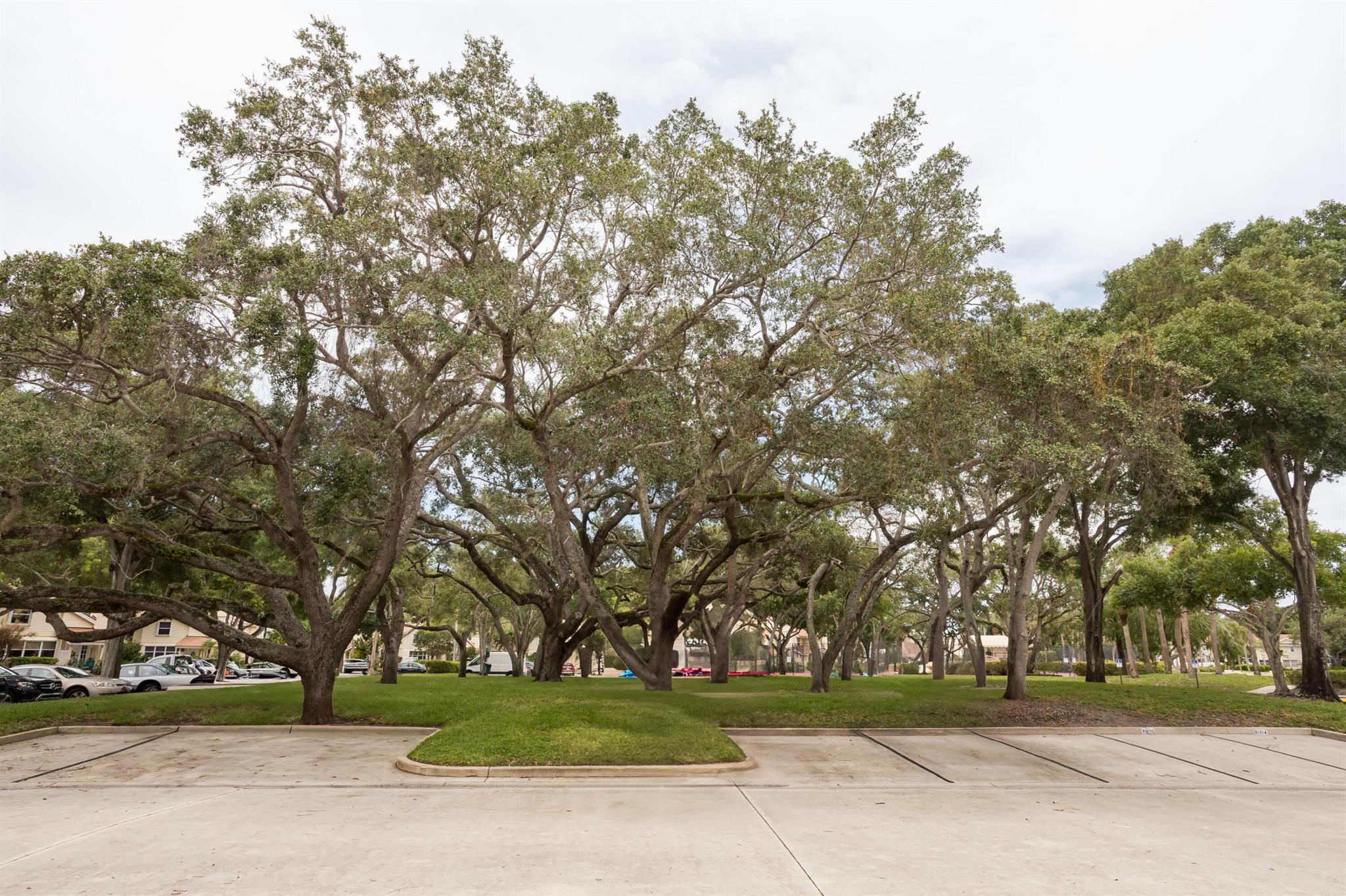 WELLESLEY AT LAKE CLARKE - Residential