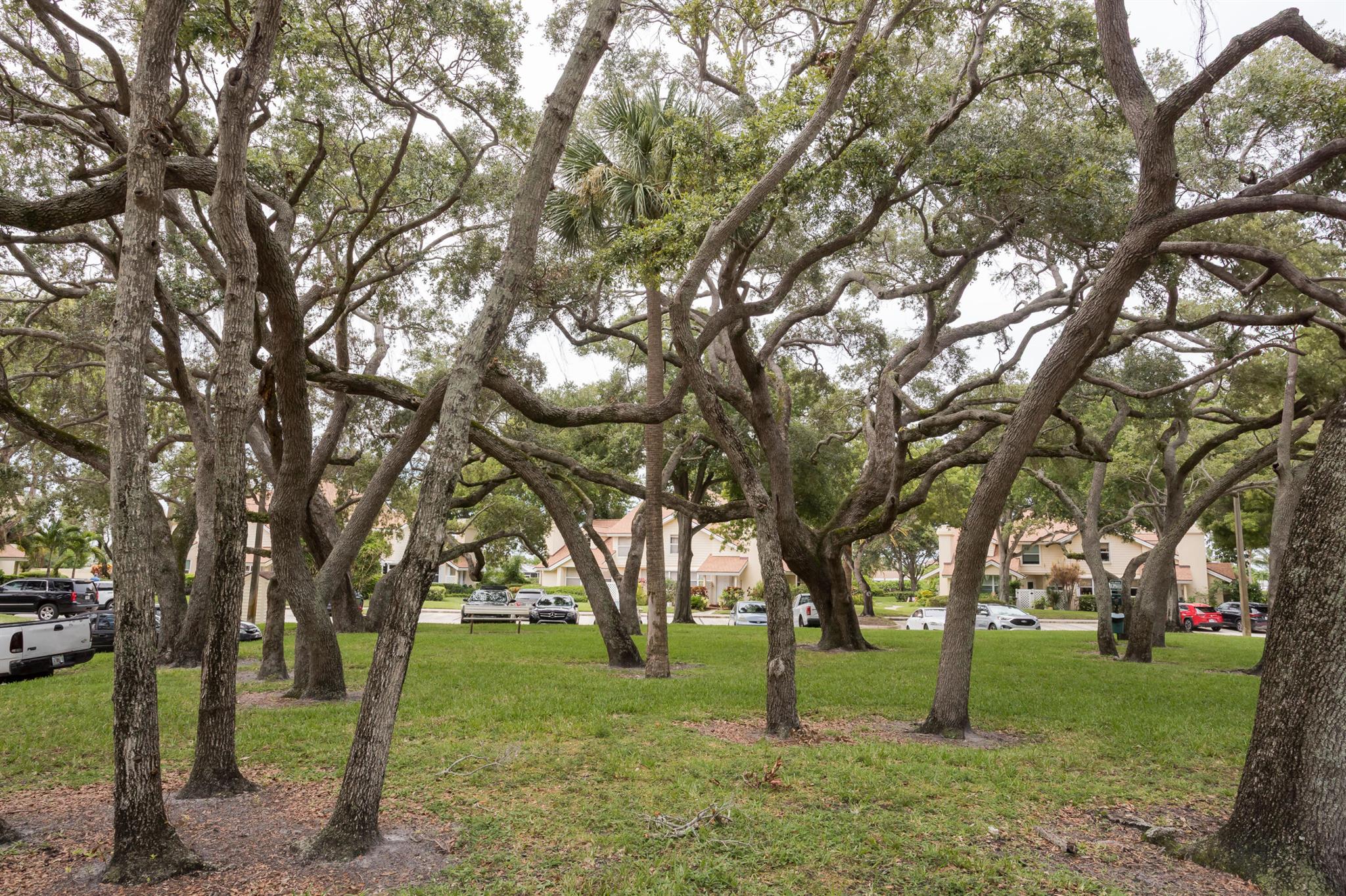 WELLESLEY AT LAKE CLARKE - Residential