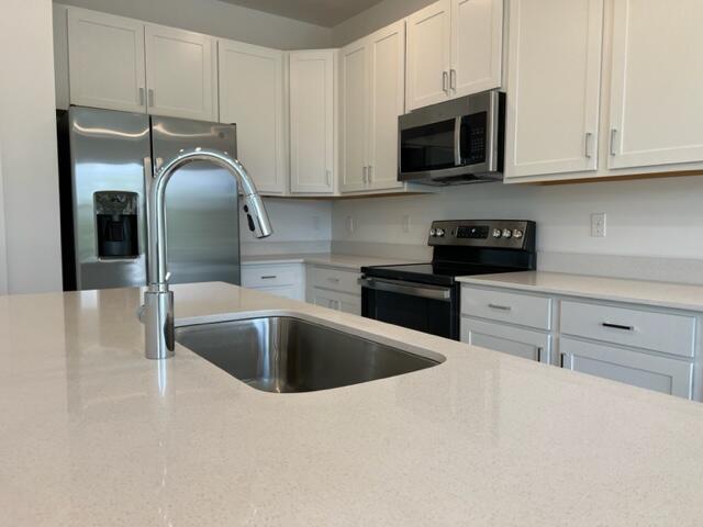 247 Preserve Trail N