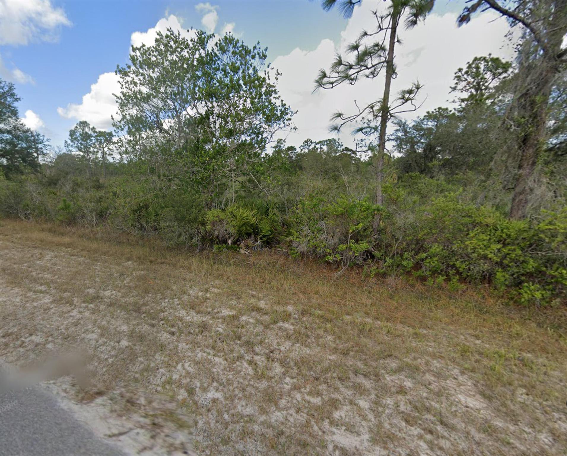 Discover the perfect canvas for your dream home in Indian Lakes Estates, FL on this half acre lot. Enjoy serene lakes, lush greenery, 2 golf courses, fishing, and easy access to Orlando and Tampa. Your opportunity to build your Florida oasis awaits! Owner is a REALTOR.