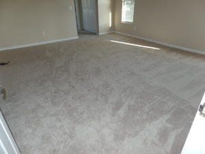 PITCHFORD PLAT 1 - Residential