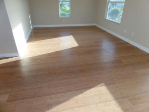 PITCHFORD PLAT 1 - Residential