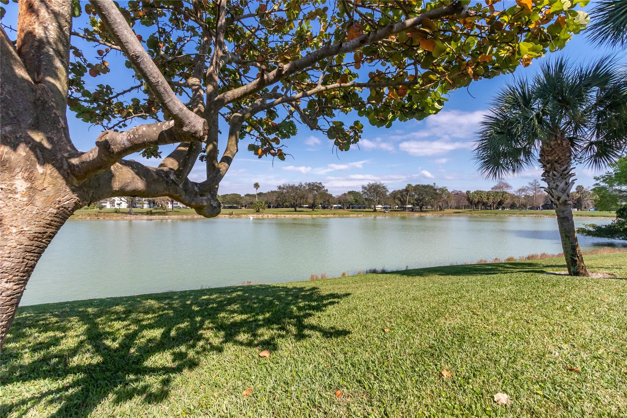 Misty Oaks Condo - Residential