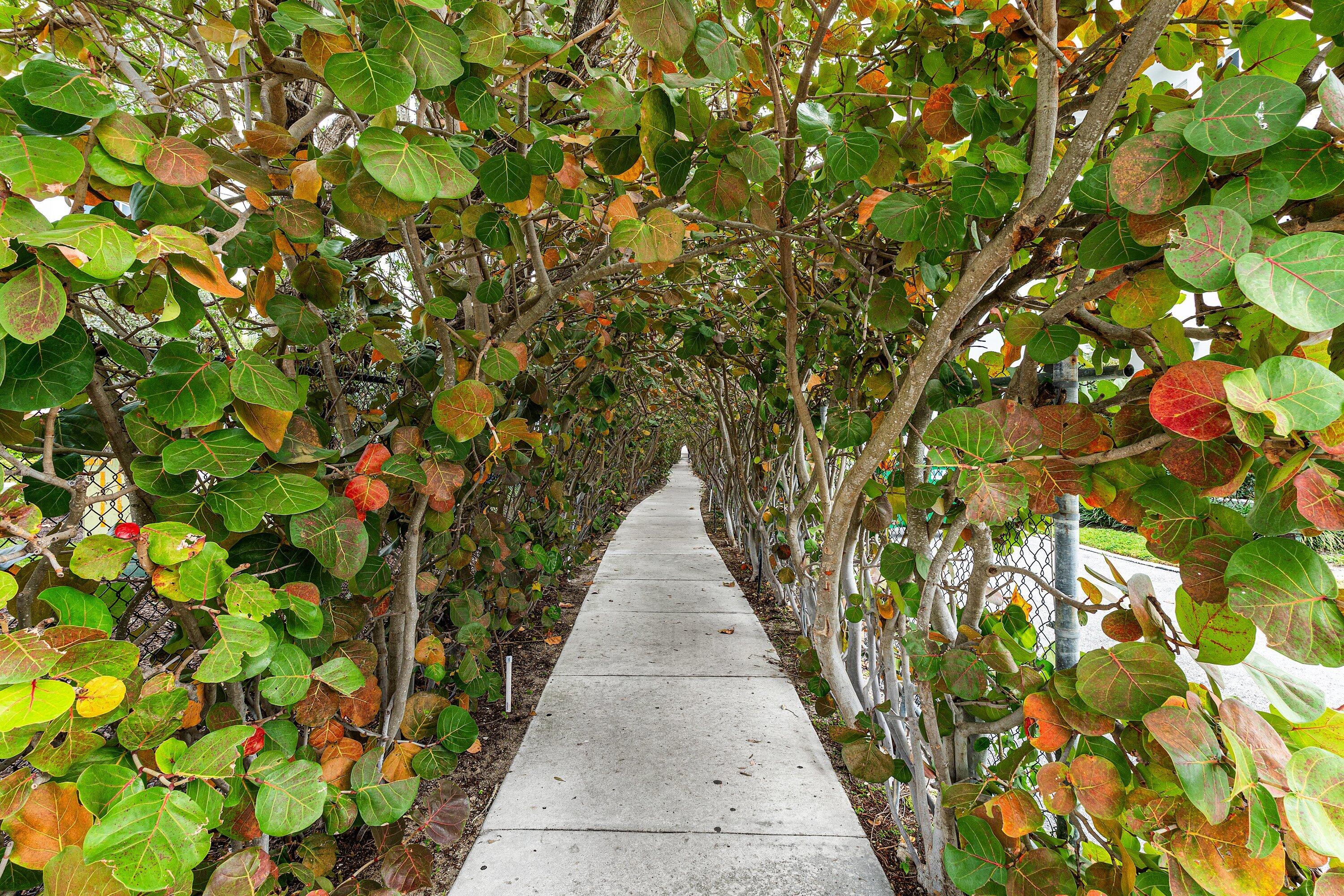 BEACH HOUSE CONDO - Residential