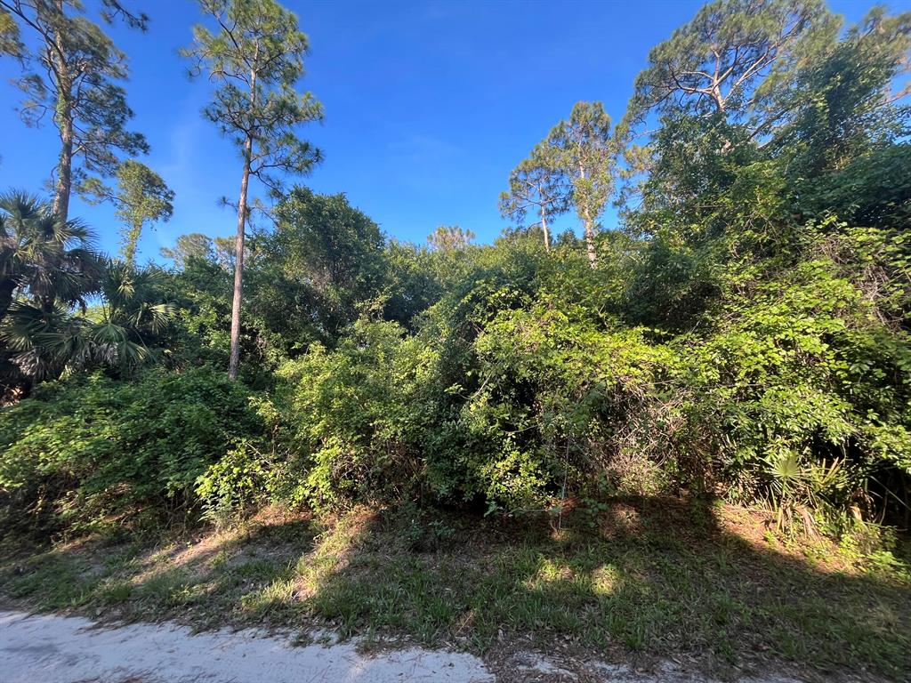 Looking to build your dream home look no further! Beautiful lot in Vero Lakes Estates with NO HOA. It is a rapidly growing area with many newer homes around the property. It is a short drive to the river, beaches, shopping, and restaurants. If you are looking to build your home or just invest in your future this is a must-see property