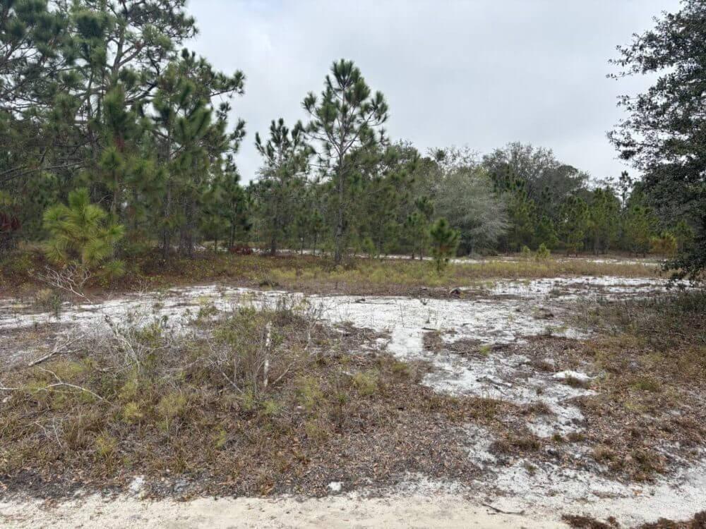 Avon Park building lot for sale with $2k down. Owner Financing!