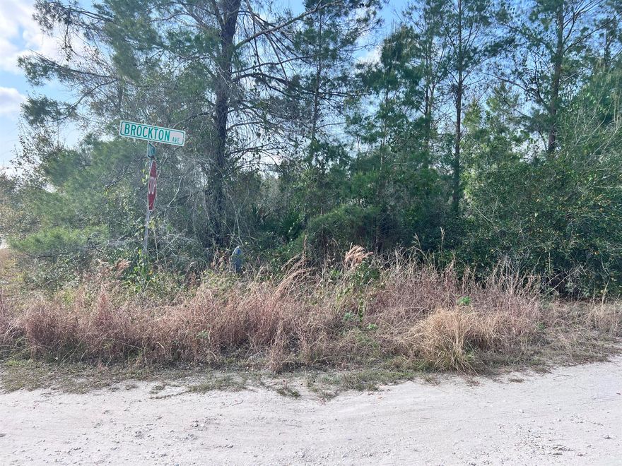 OWNER FINANCIAL AVAILABLE!! If you want to be close to everything, Sebring is the city in FL. This lot is near Orlando, Fort Myers, Okeechobee, and Port Charlotte. This is perfect for you, looking for a new town to start a new life and build your new home.