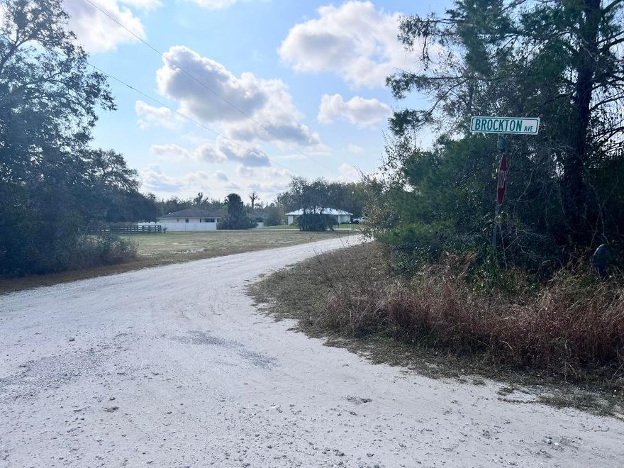 OWNER FINANCIAL AVAILABLE!! If you want to be close to everything, Sebring is the city in FL. This lot is near Orlando, Fort Myers, Okeechobee, and Port Charlotte. This is perfect for you, looking for a new town to start a new life and build your new home.