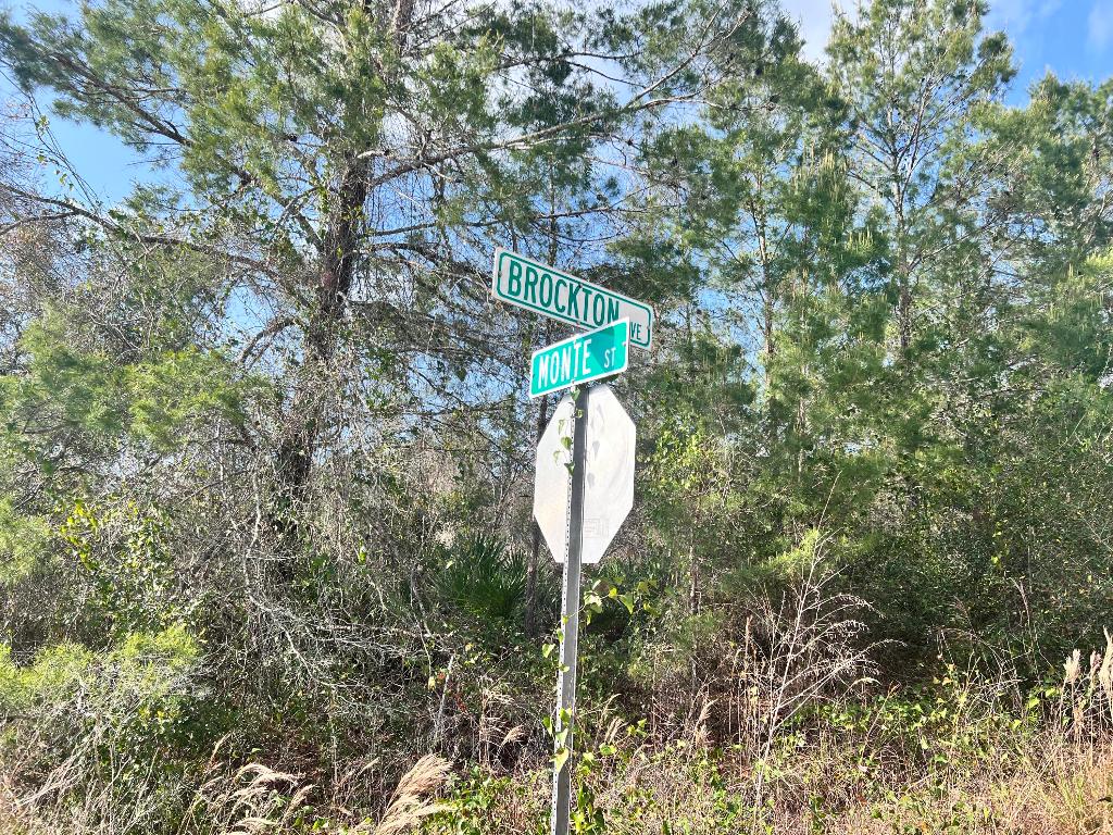 SEBRING LAKES UNIT 2 C - Land