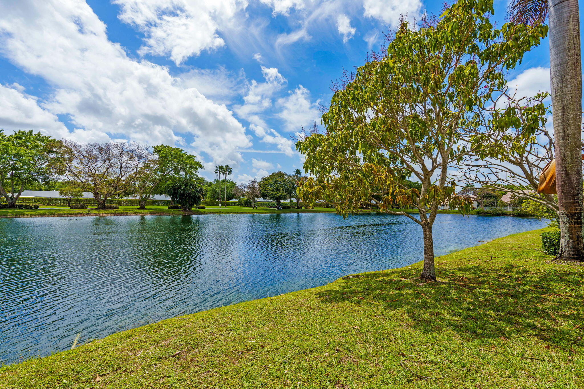 BOCA AZUL PH 1 - Residential