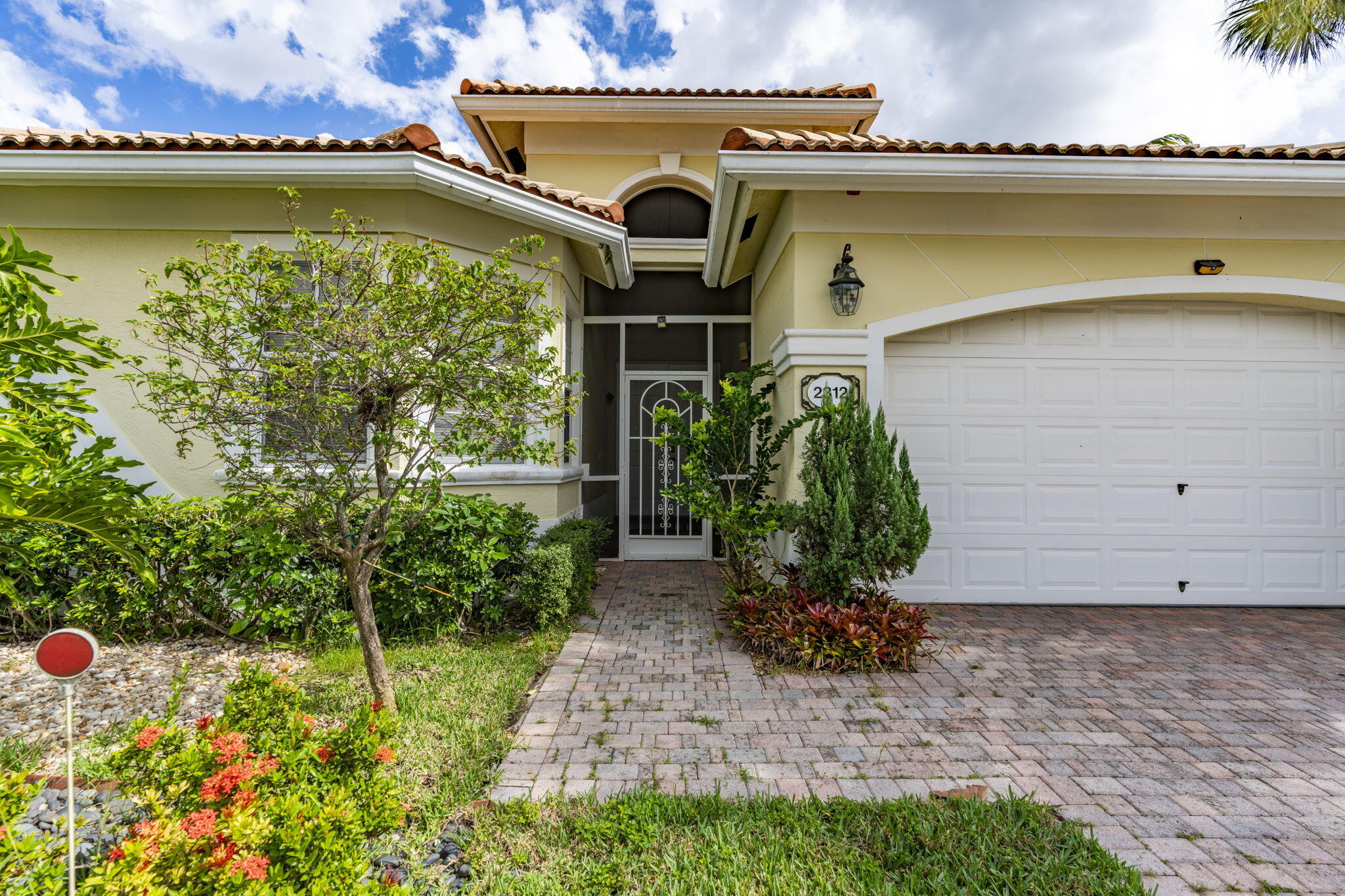 2312 Curley Cut
